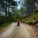 A person meditating on a forest path, embracing nature's tranquility in summer.